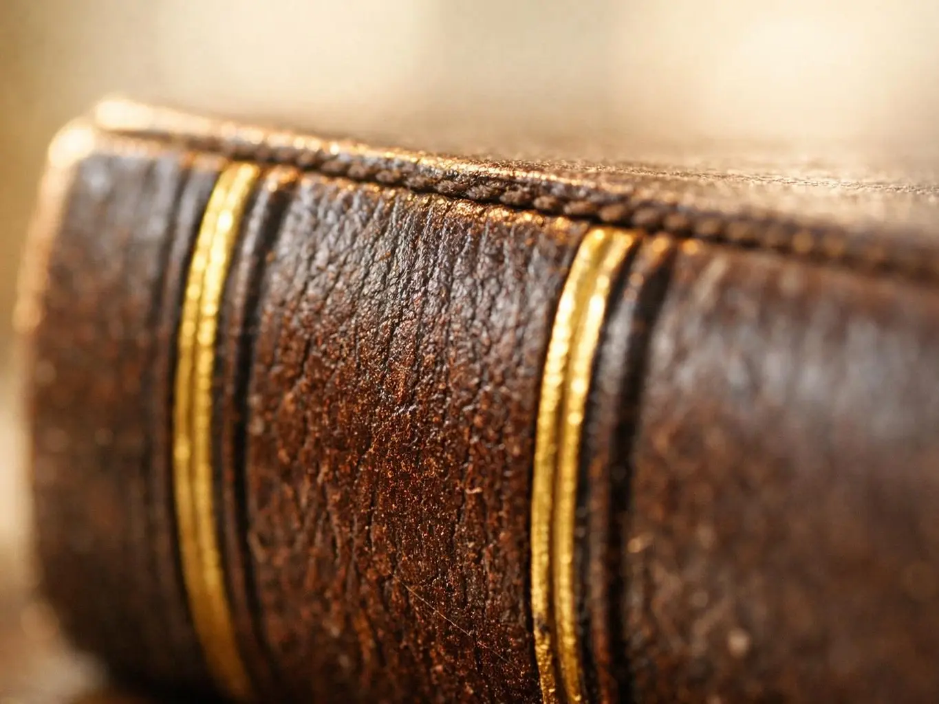 Personal Injury Lawyer